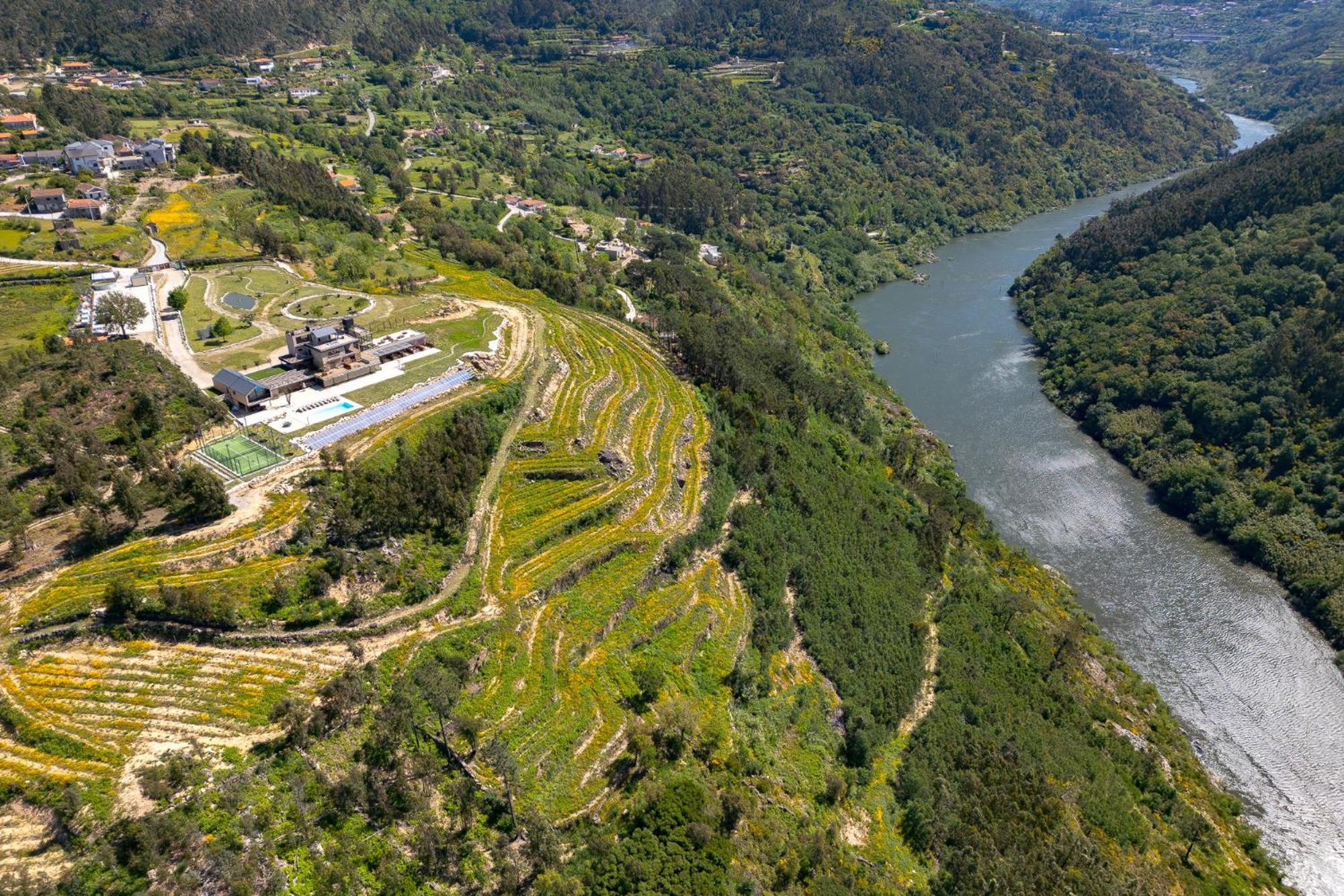 Quinta De Cabanas Douro Country House Penha Longa Екстериор снимка